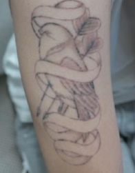 Case Review PicoAlex After